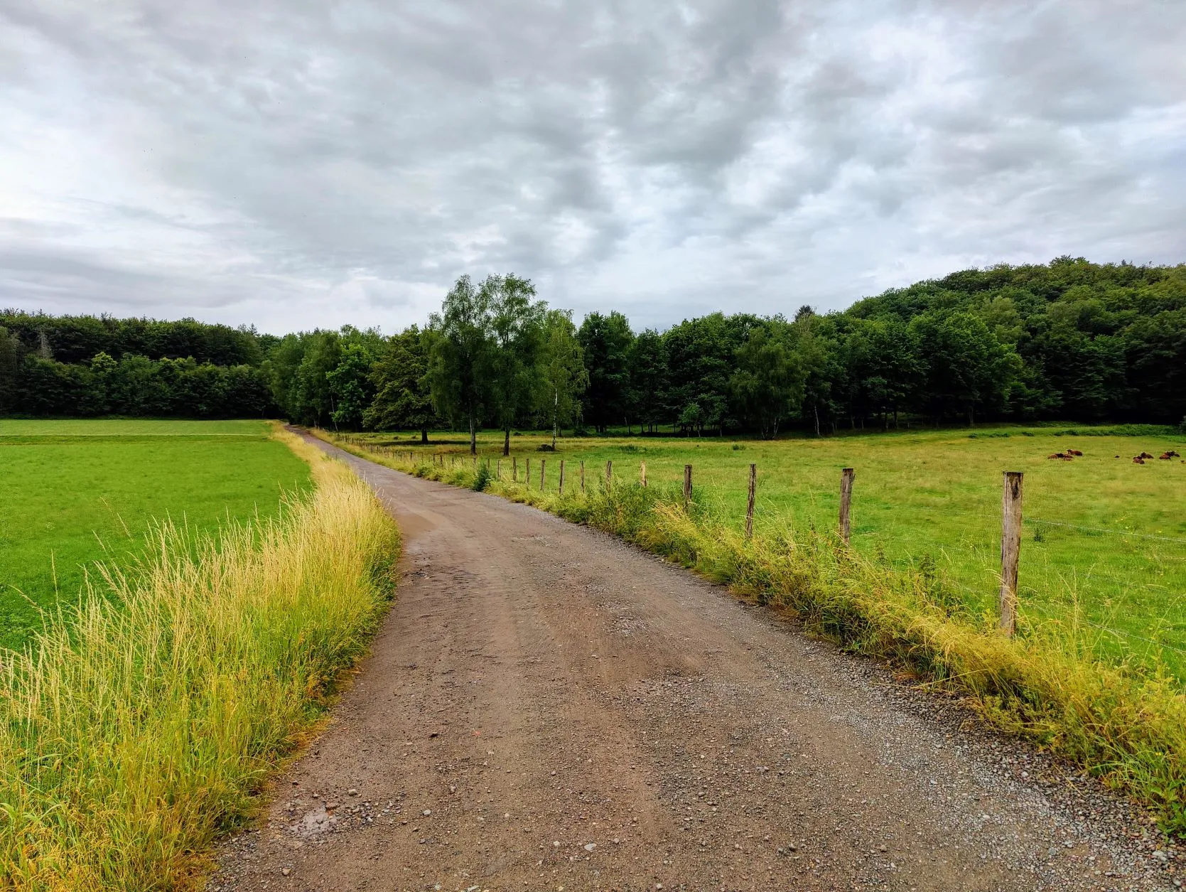 Etappe 41: Giromagny ⇒ Belfort - foto 2