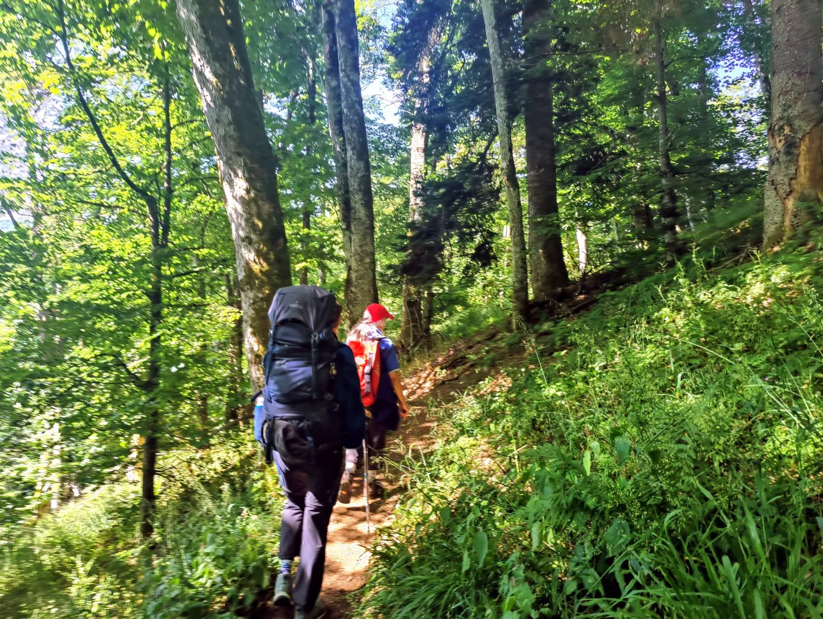Etappe 38: Refuge du Storkenkopf ⇒ Thann (GR5) - foto 5