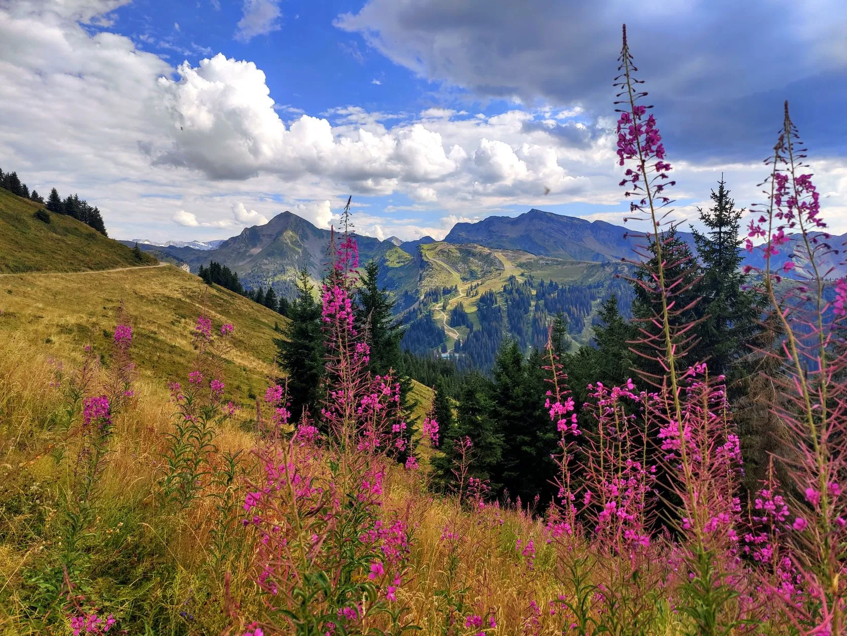 Etappe 59