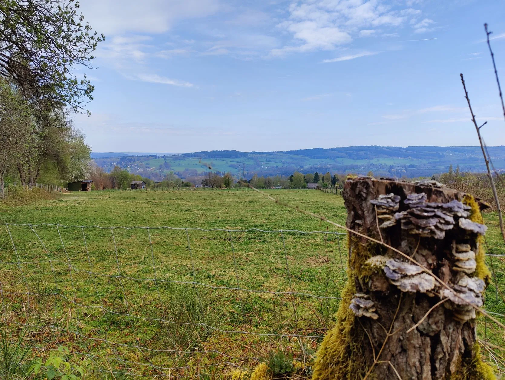 Etappe 6: Vielsalm – Grüfflingen (GR5) - foto 1