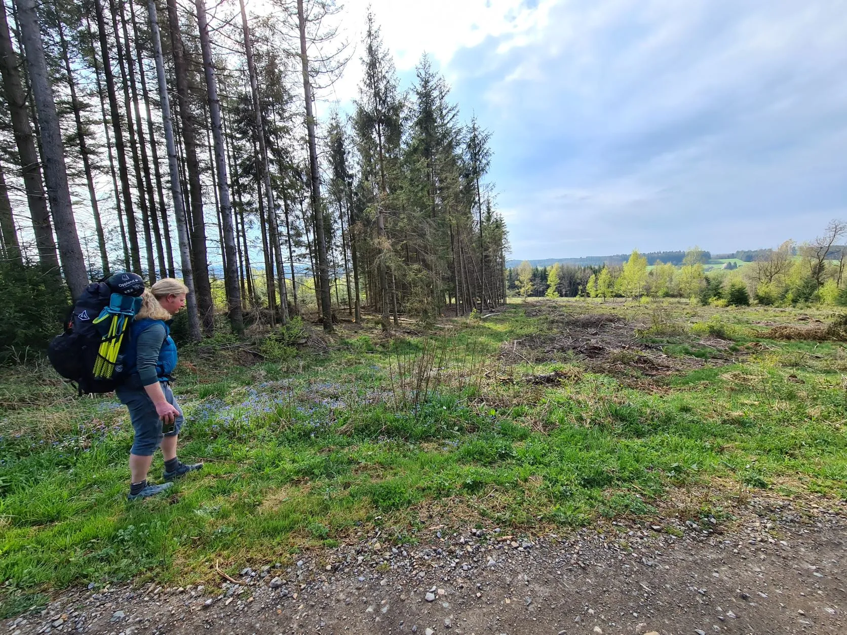 Etappe 6: Vielsalm – Grüfflingen (GR5) - foto 2