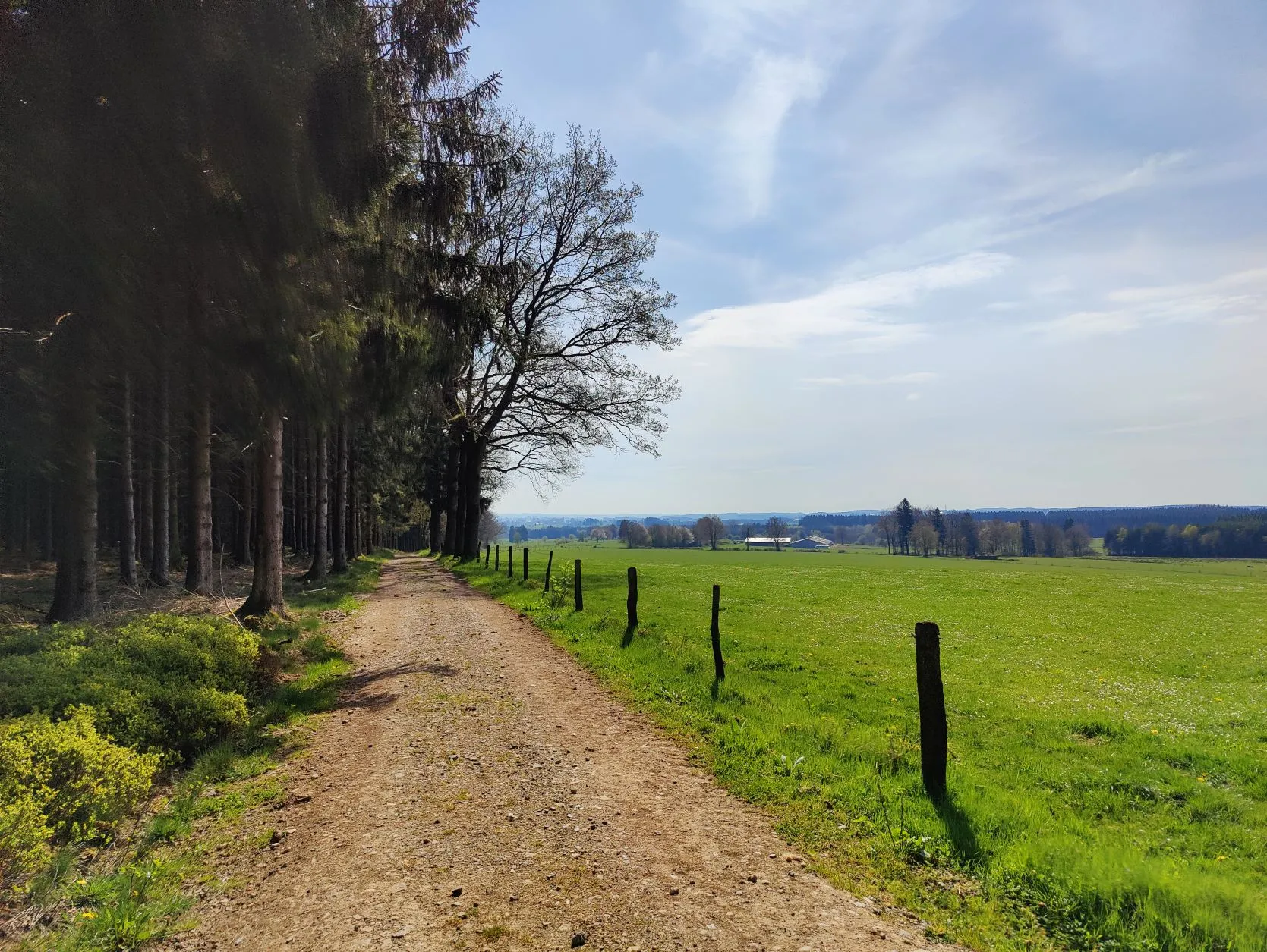 Etappe 6: Vielsalm – Grüfflingen (GR5) - foto 4