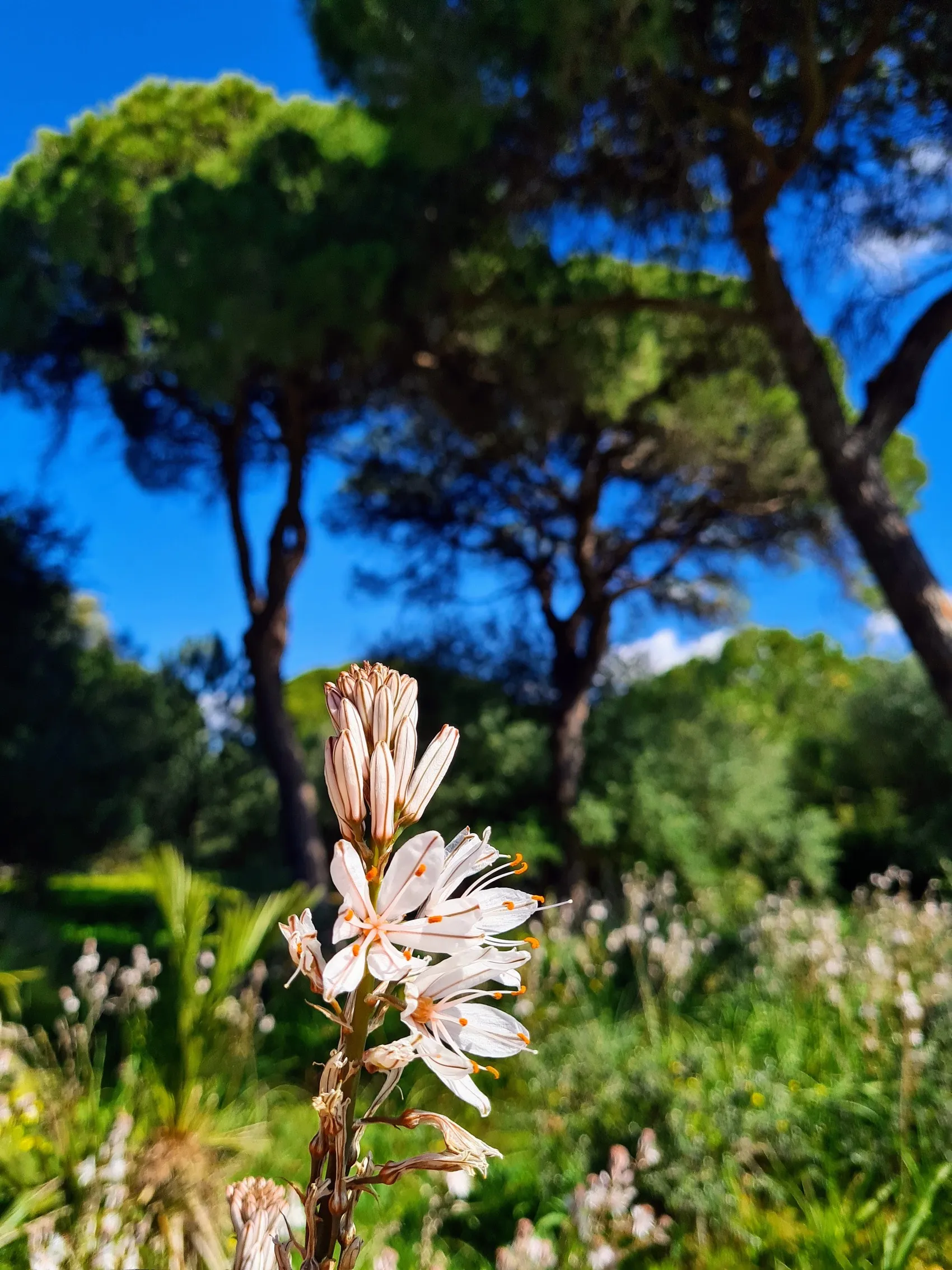 Etappe 18