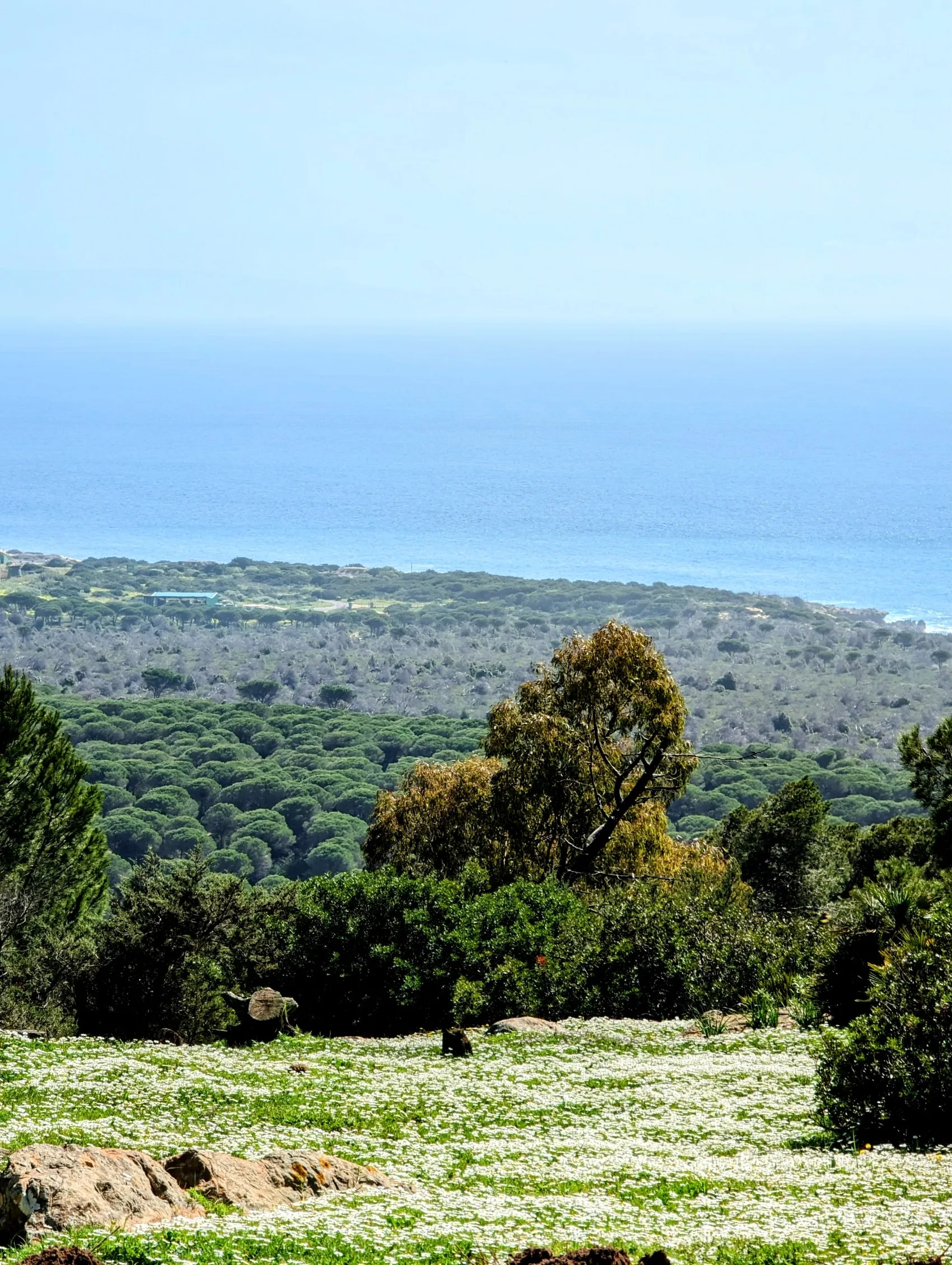 Etappe 24