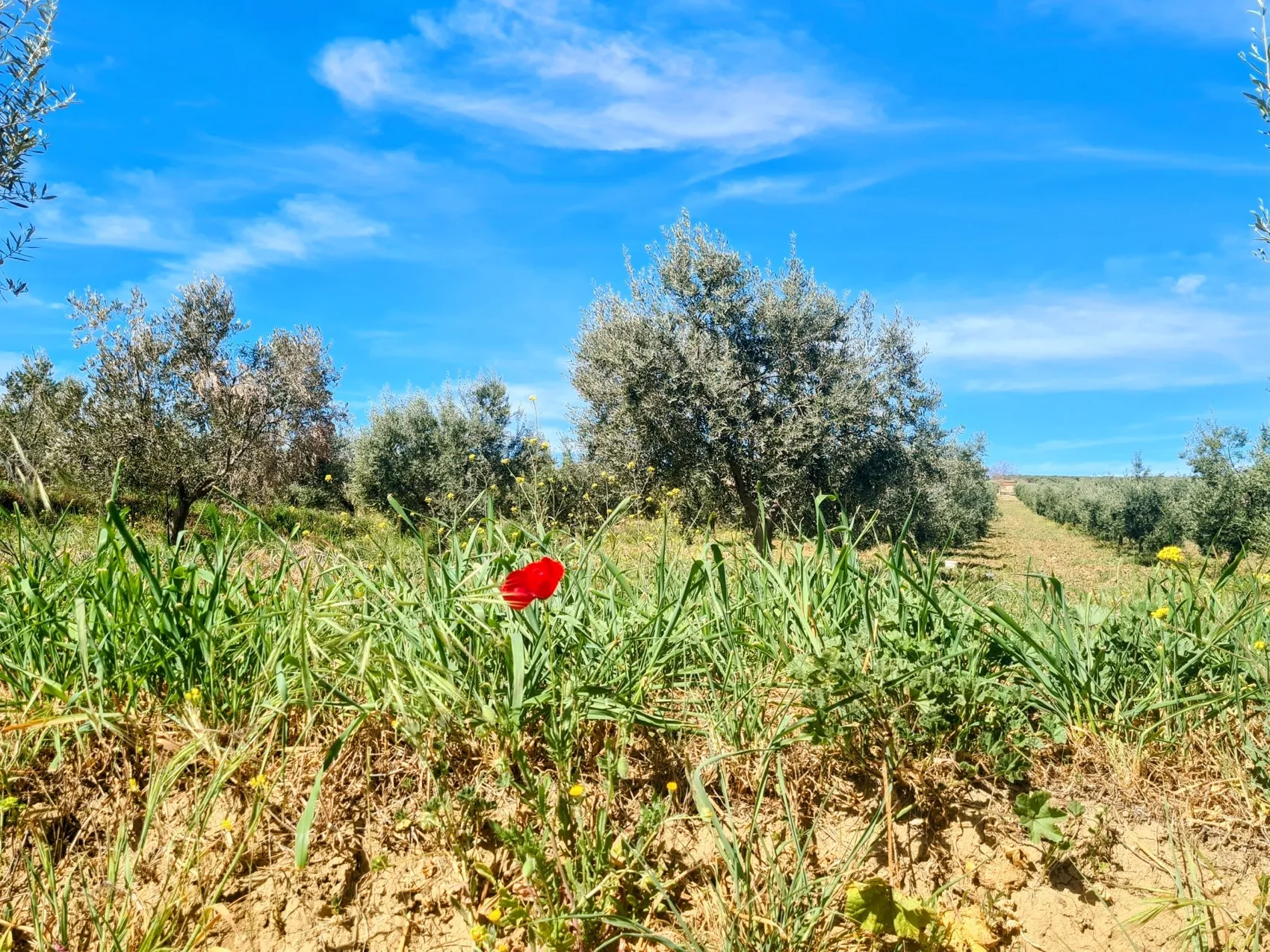 Etappe 33
