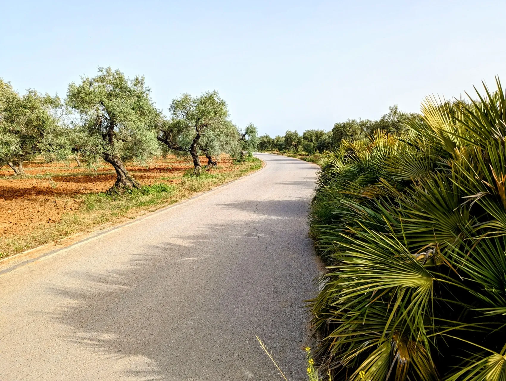 Etappe 37: Utrera ⇒ Sevilla - foto 1