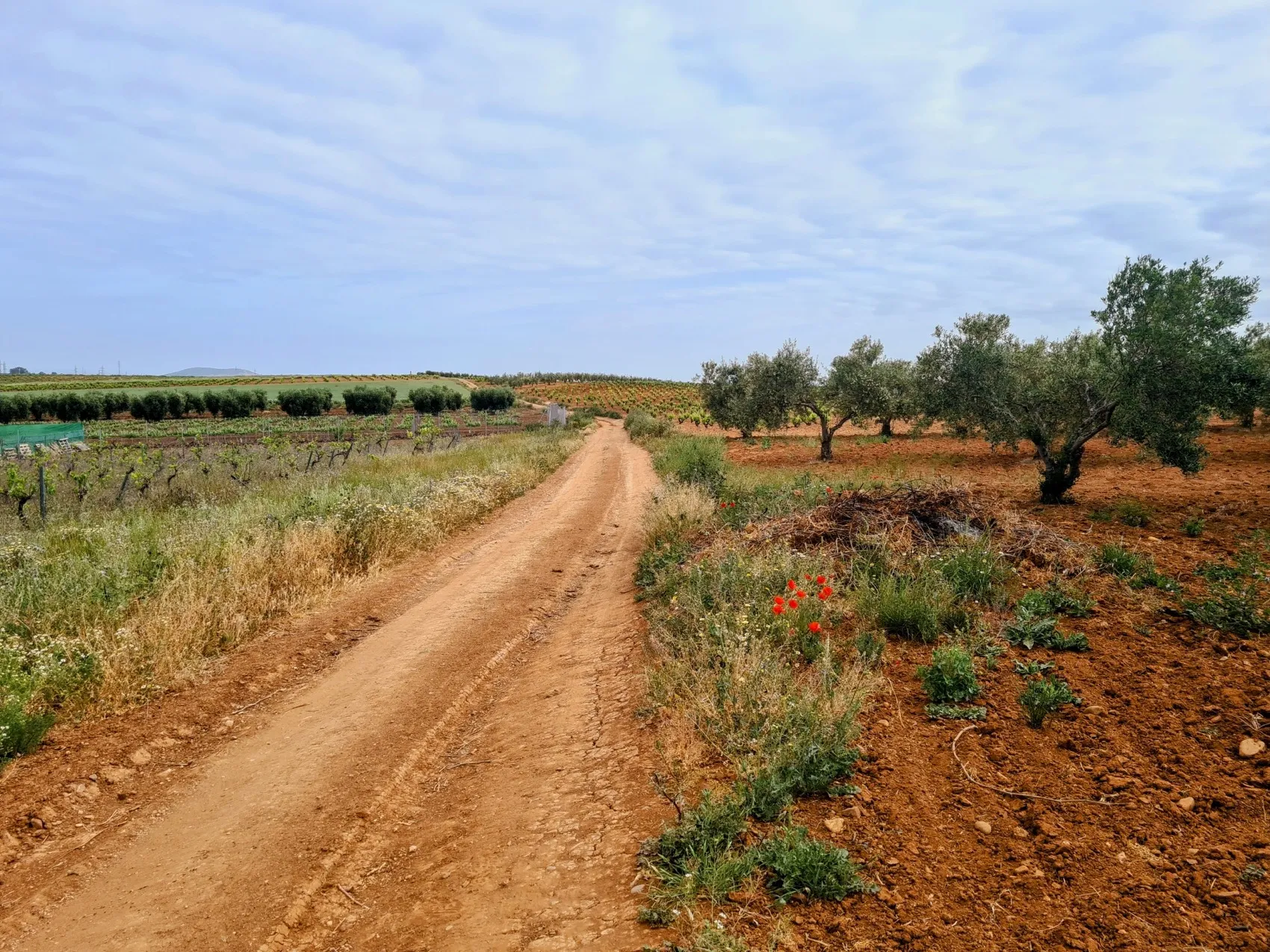 Etappe 46