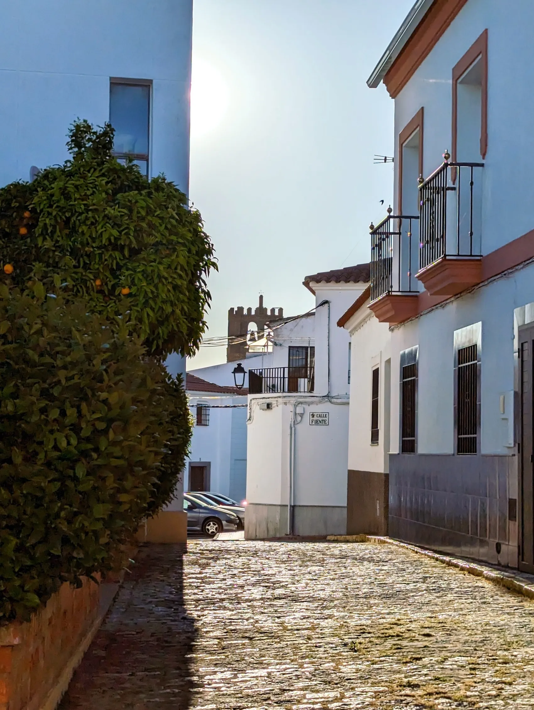 Etappe 43: Fuente de Cantos ⇒ Zafra - foto 2