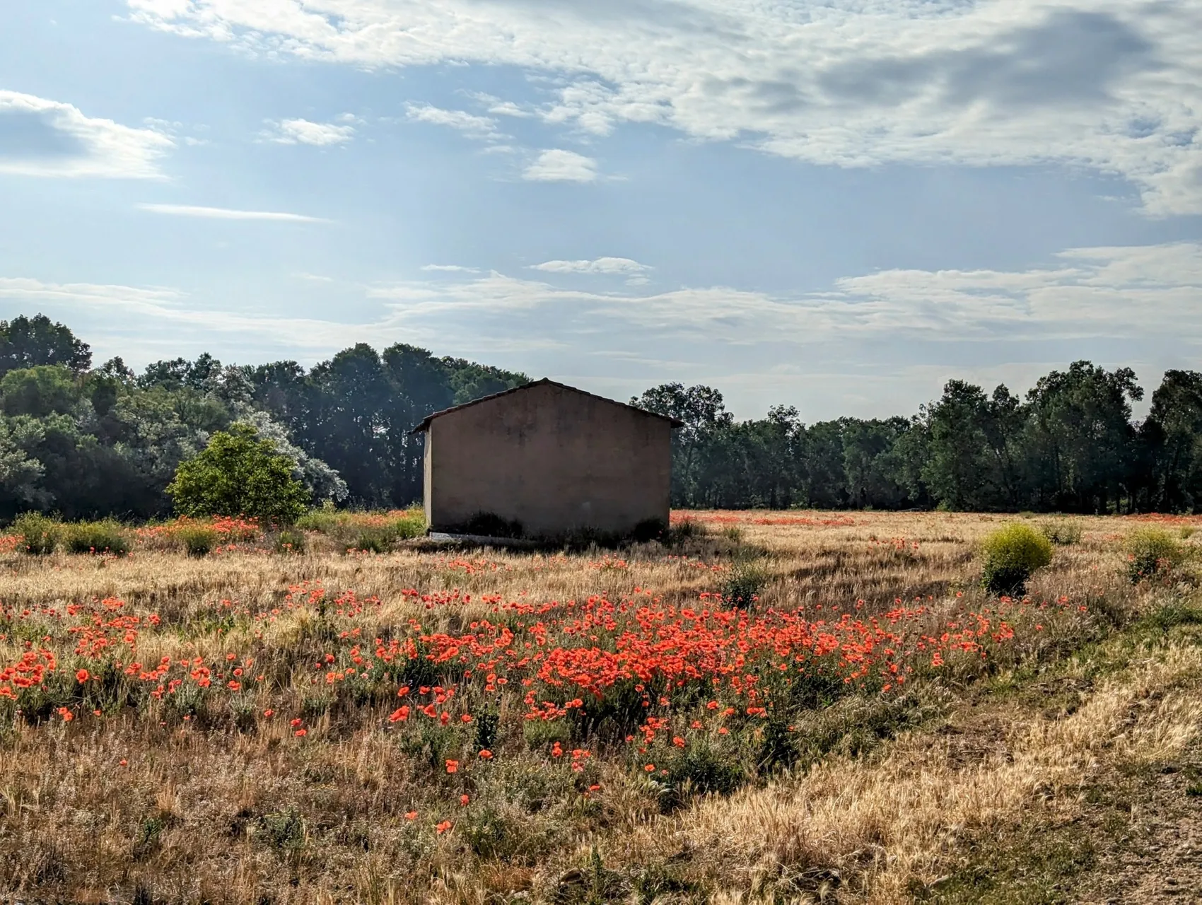Etappe 63