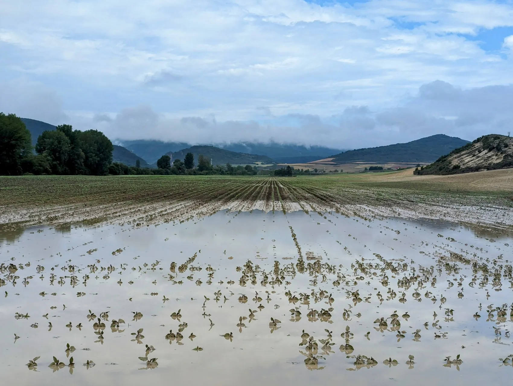 Etappe 76: Pancorbo ⇒ Miranda de Ebro - foto 4